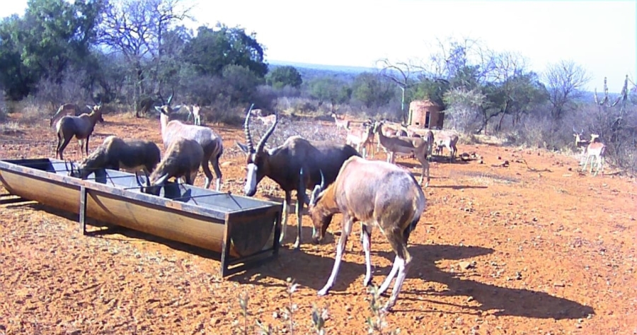 17 Bedroom Property for Sale in Koster North West